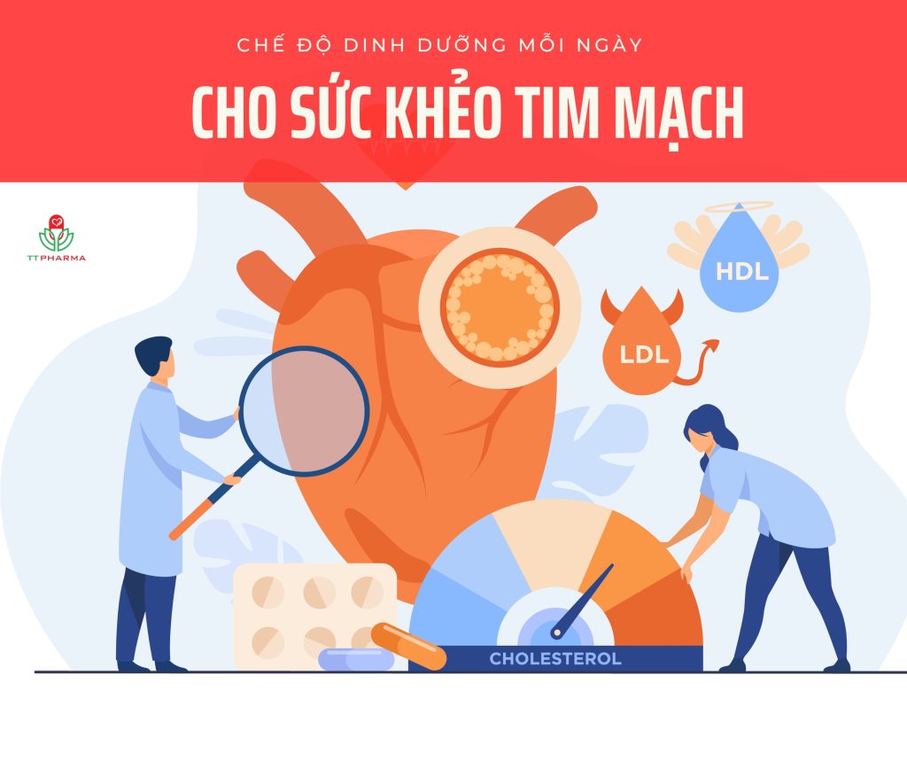 suc-khoe-tim-mach