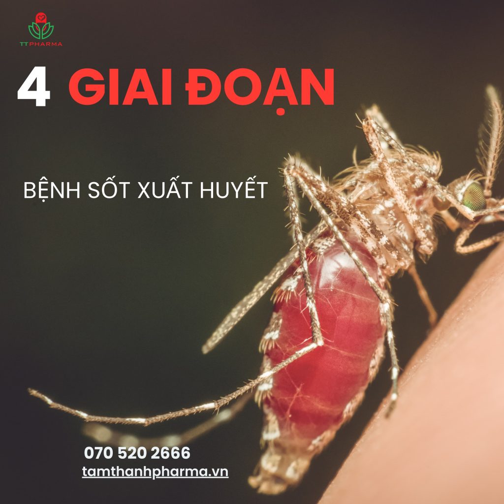 sot xuat huyet dangue