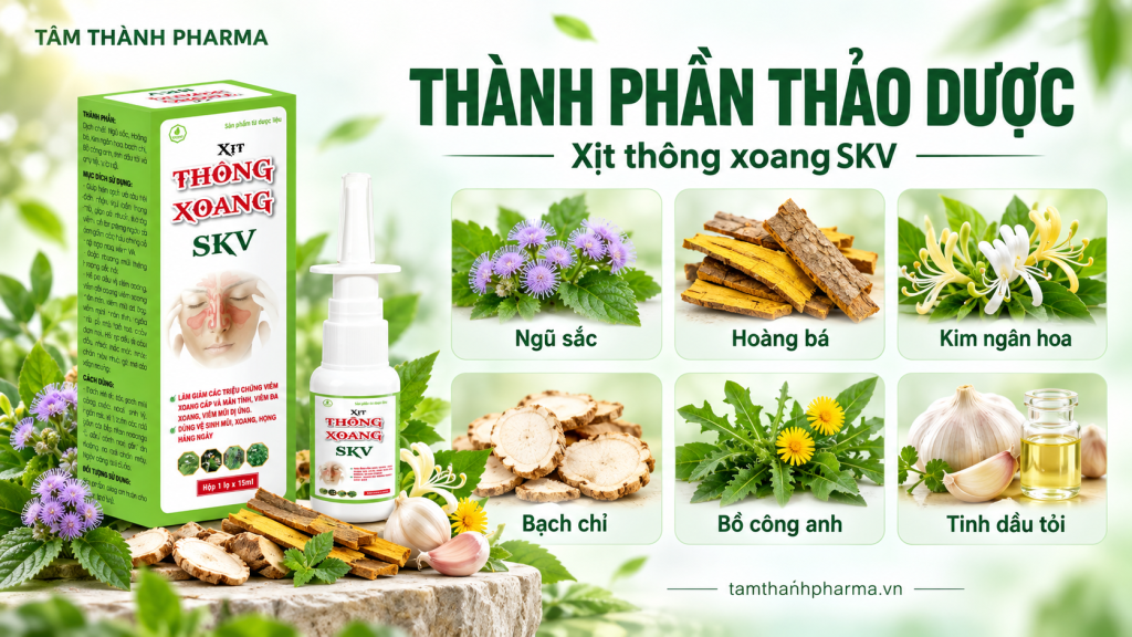Thảo dược trong Xịt thông xoang SKV-1 Thảo dược trong Xịt thông xoang SKV 1